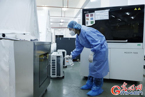 守滬者聯(lián)盟丨上海建成'火眼'實(shí)驗(yàn)室，日檢測(cè)通量可達(dá)10萬單管